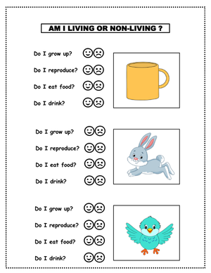 Living and Non-Living Things Worksheet | Grade 1 Essential