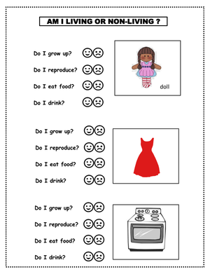 Identifying Living and Non-Living Things Activity