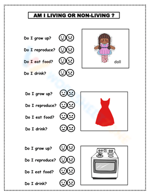 Identifying Living and Non-Living Things Activity