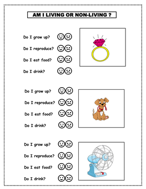 Living Or Non-Living Things Identification Activity