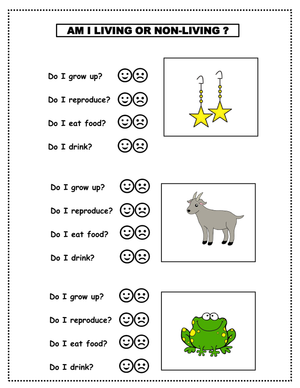 Essential Living and Non-Living Things Worksheet | Grade 1