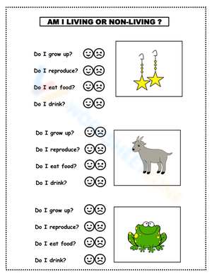Grade 1 Science: Living and Non-living Things