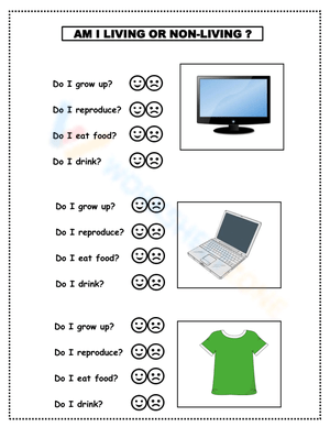 Am I Living Or Non-Living Activity Worksheet