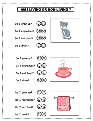 Essential Living and Non-Living Things Worksheet | Grade 1