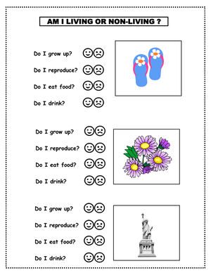 Printable Living and Non-Living Things Worksheet | Grade 1