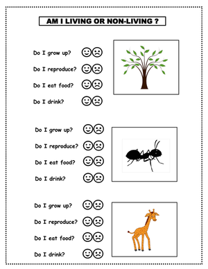 Grade 1 Science: Living vs. Non-Living — Printable Worksheet