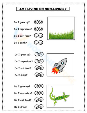 Living and Non-living Things