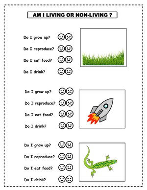 Printable Living and Non-living Things Worksheet | Grade K-2