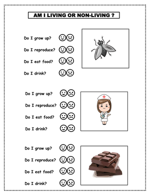 Printable Living vs Non-living Things Science Worksheet