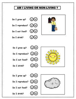 Living and Non-living Things Worksheet | Grade K-2 Essential