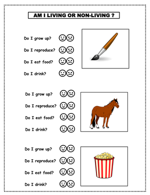 Grade K-2 Living and Non-living Things — Essential Worksheet