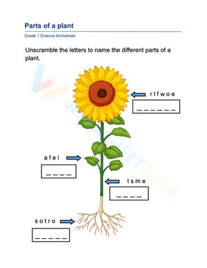Labeling the Parts of a Plant Word Scramble