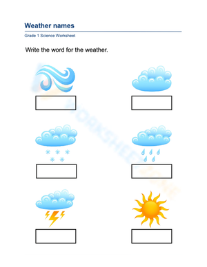 Grade 1 Weather Types — Essential No-Prep Worksheet