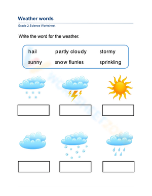 Grade 1 Weather Words — Printable No-Prep Worksheet