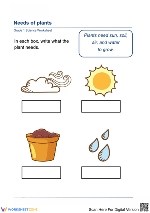 Needs of Plants Worksheets - Grade 1 Science 