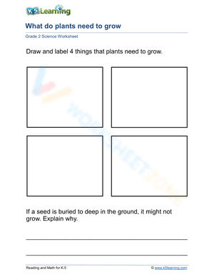 What do plants need to grow? 2