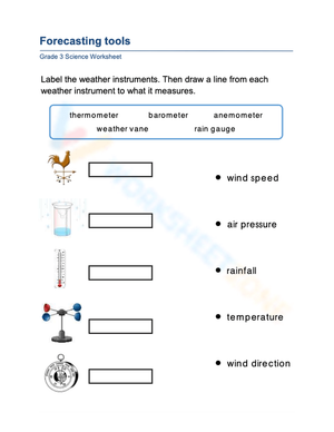 Essential Weather Tools Worksheet | Grade 2 Science