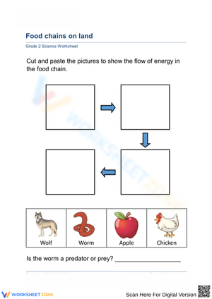 Food chains on land
