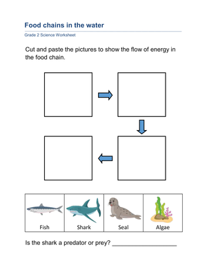 Food Chains in the Water Worksheet for Grade 2