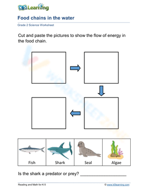Food Chains in the Water Worksheet for Grade 2