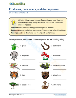 Producers, Consumers, and Decomposers Worksheet