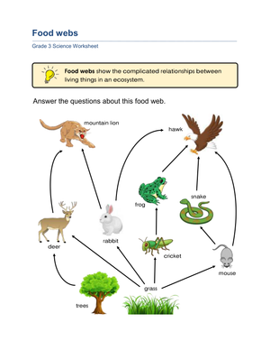 Essential Food Webs Worksheet | Grade 3 Science Aligned