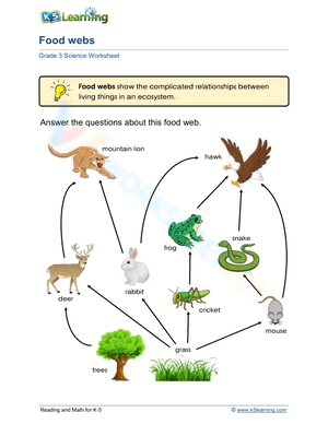 Food webs