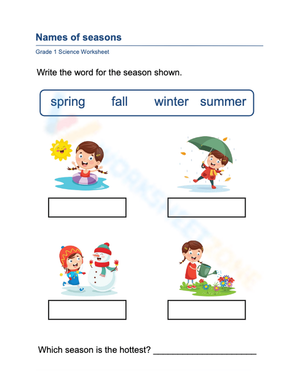 Essential Seasons Worksheet | Grade 1 Science Printable