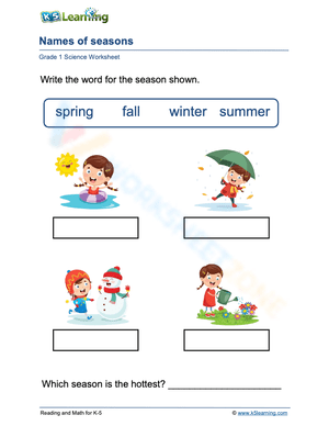 Essential Seasons Worksheet | Grade 1 Science Printable