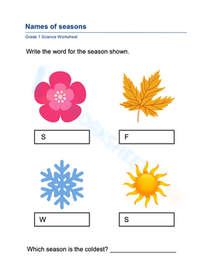Seasons' Symbols Worksheet | Essential Preschool Science