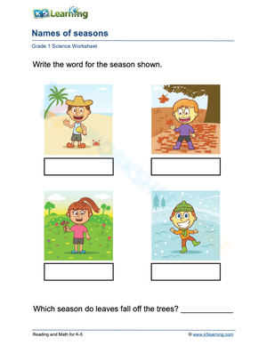 Daily Activities: What Do You Do? Worksheet