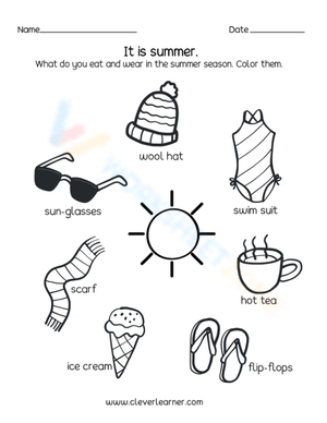 What Will You Wear In The Summer Worksheet
