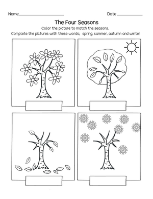 How Trees Look in Four Seasons Worksheet