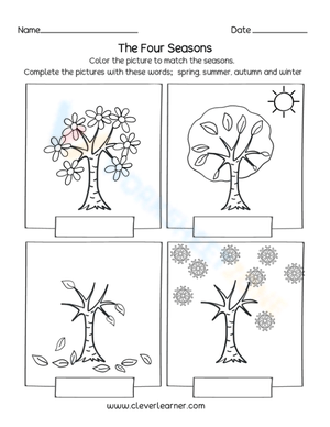 How Trees Look in Four Seasons Worksheet