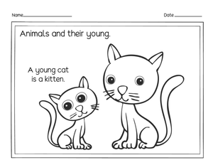 Printable Worksheet: Grade 1 Animals and Their Young