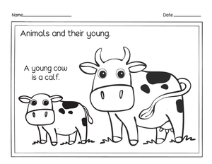 Grade 1 Animals & Young — Printable No-Prep Worksheet