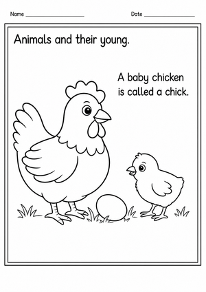Essential Chicken and Chick Worksheet | Grade K-2 Printable