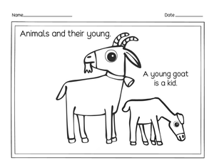 Essential Young Goat Worksheet | Grade K-2 Science