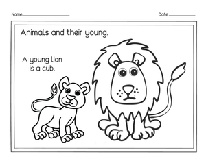 Essential Animals and Their Young: Lion Cub — Grade K-2