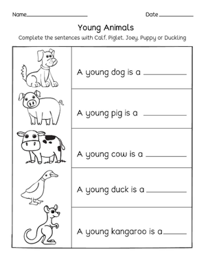 Preschool Young Animals — Printable No-Prep Worksheet