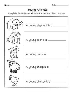 Essential Young Animals Worksheet | Preschool Science