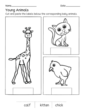 Printable Young Animals Worksheet | Grade K-1 Science