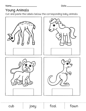 Grade K Young Animals — Printable No-Prep Worksheet