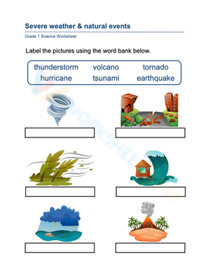 Essential Severe Weather Worksheet | Grade 1 Science