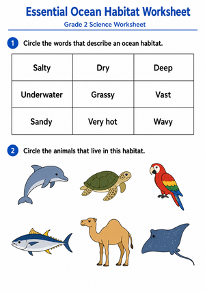 Grade 2 Ocean Habitats — Printable No-Prep Worksheet