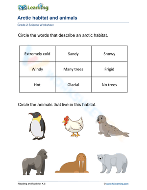 Arctic habitat and animals