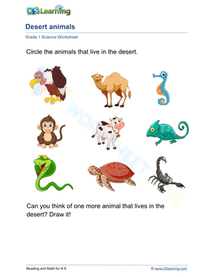 Desert animals