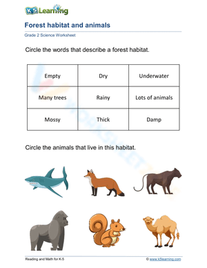 Forest habitat and animals