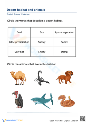 Desert habitat and animals