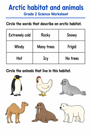 Grade 2 Arctic Habitats — Printable No-Prep Worksheet